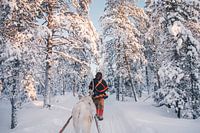 Samische Rentierpfleger im Wald | Reisefotografie Druck | Lappland Schweden