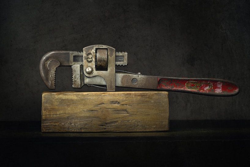 Modern stilleven van een oude pijptang (oud gereedschap) van Silvia Thiel