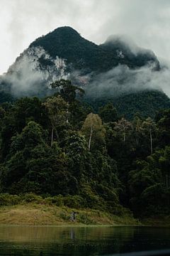 Bewolkte bergen en jungle in Khao Sok, Thailand van Nathanael Denzel Allen