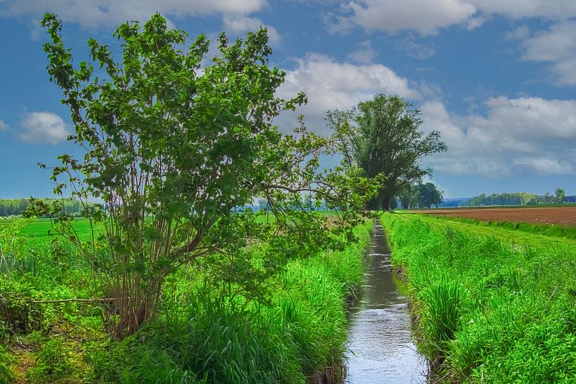 Black ditch near Laupheim by Photoart-Naegele