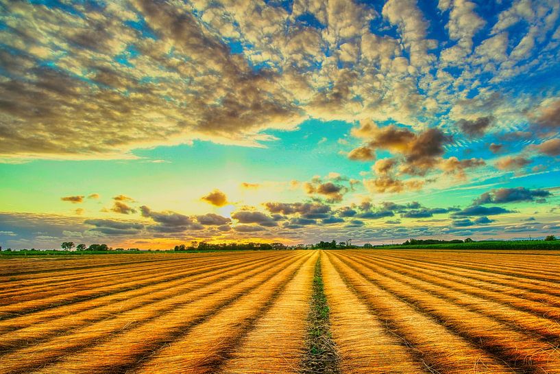 sunset over a harvested field by Rudi Everaert