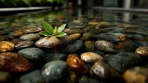 ZENFUL