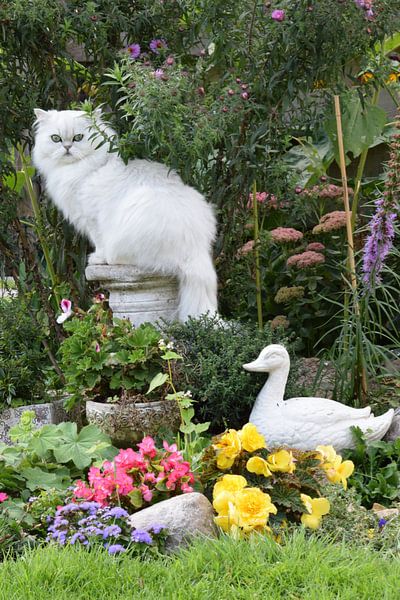 Katze spielt für Gartenstatue von Petra van Engelenburcht
