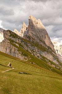 Seceda Dolomites.