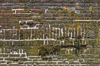 Mauer in Deventer, die Niederlande von Frans Blok Miniaturansicht