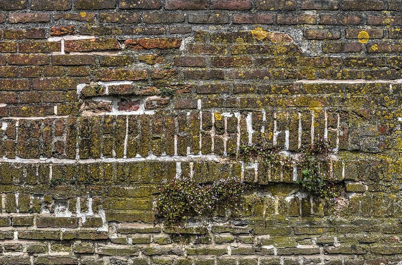 Mauer in Deventer, die Niederlande von Frans Blok