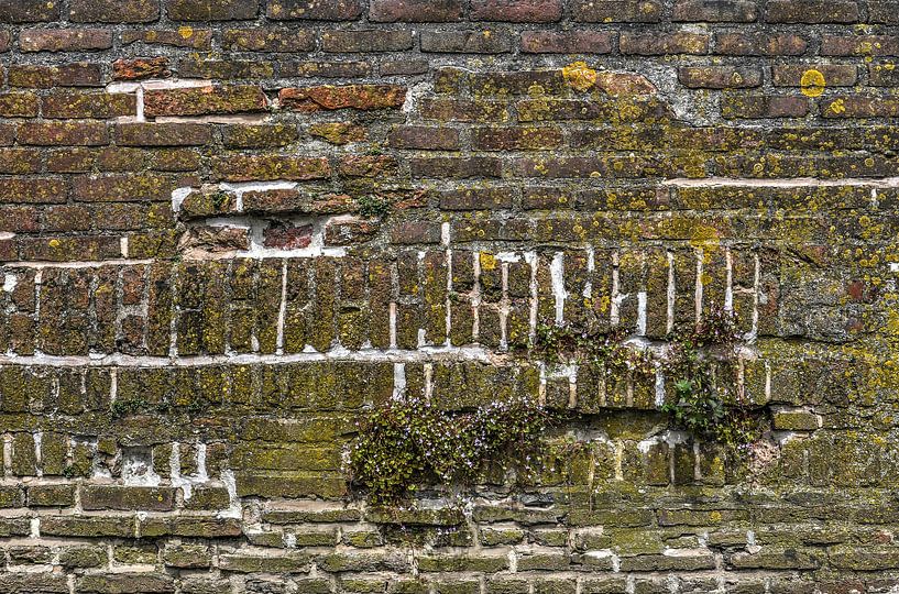 Kademuur in Deventer van Frans Blok