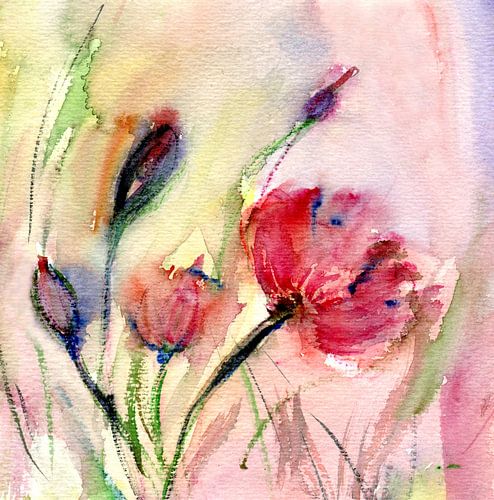 Poppy Watercolour