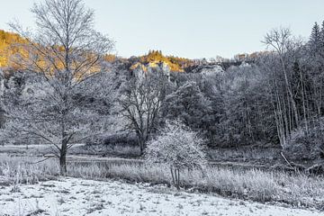 Oeverlandschap van de Donau bij Fridingen in de winter - Natuurpark Opper-Donau van BlattArt - Christine Horn