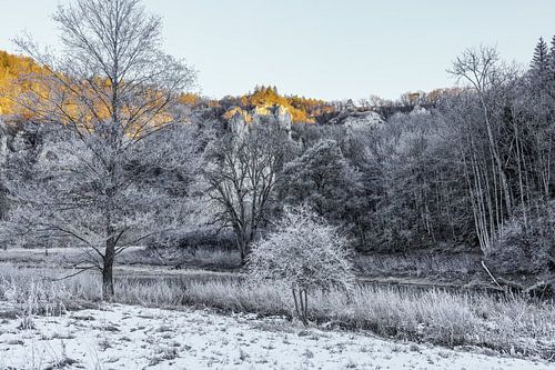 Oeverlandschap van de Donau bij Fridingen in de winter - Natuurpark Opper-Donau