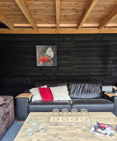 Witte vlinder op rode klaproos