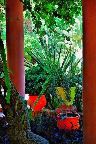 Botanische Studien in Orange Marrakesch