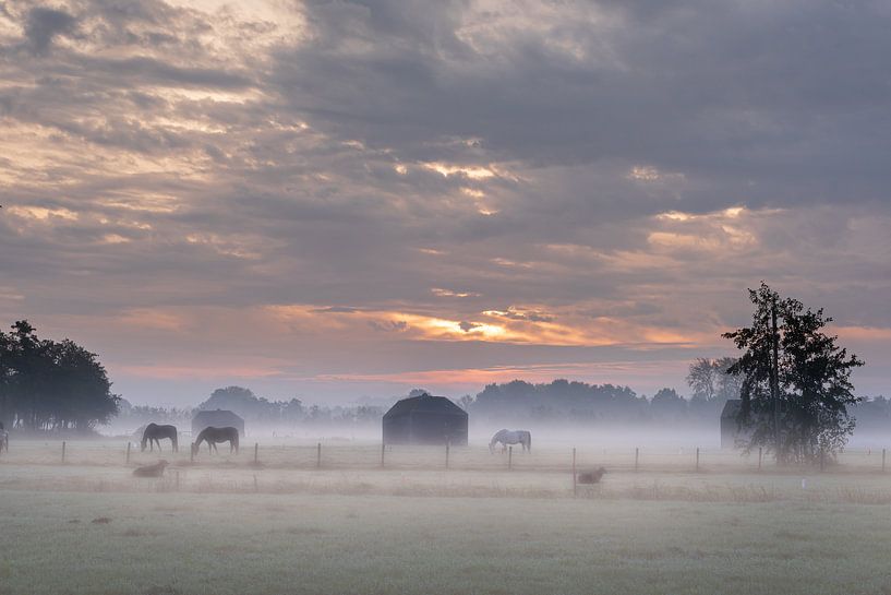 Lever de soleil dans le brouillard avec des chevaux par Atelier van Saskia