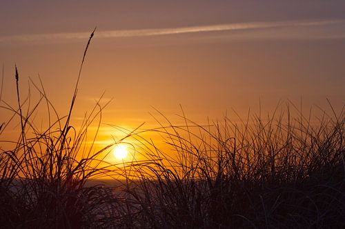 Am Abend II 