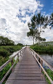 Endless van Peter Bartelings