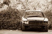 Barrel Sepia