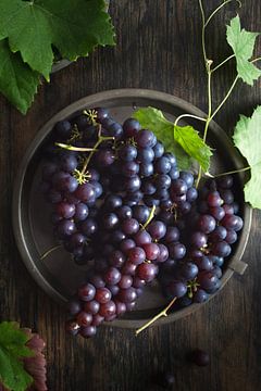 Blauwe druiven van Emerald Food Photography
