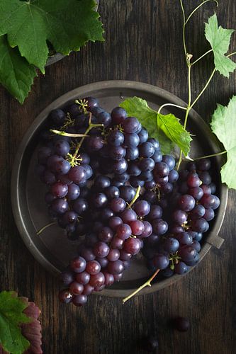Blue grapes