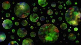 Windows To The Universe VIII by Maurice Dawson