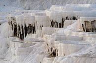 Kalksteenformaties van Ronald Wilfred Jansen thumbnail