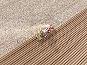 Tractor maakt de grond klaar voor het poten van pootaardappelen tijdens de lente van Sjoerd van der Wal Fotografie thumbnail