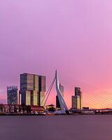 The Erasmus bridge at sunset with pink sky