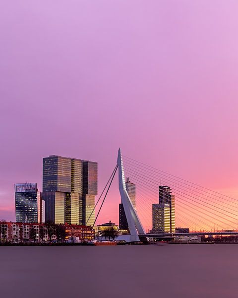 The Erasmus bridge at sunset with pink sky by Annette Roijaards