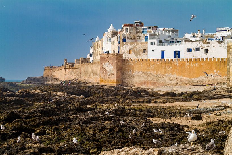 City wall in fishing village Essaouira by Easycopters