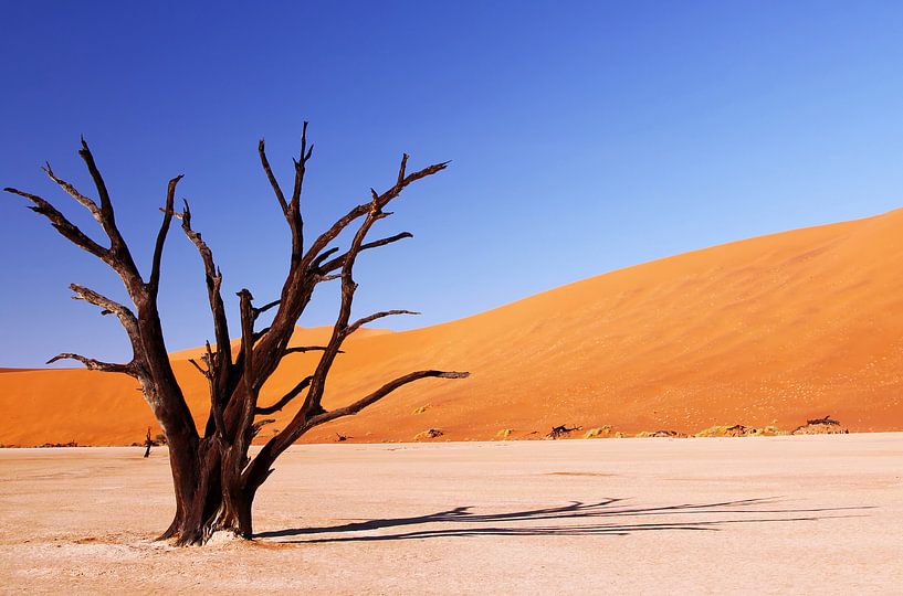 Shadow Casting - Dead Vlei Namibië van W. Woyke