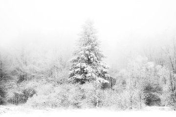 'WINTER', bomen in de mist. Zwart-wit fotografie. van Femke den Hollander