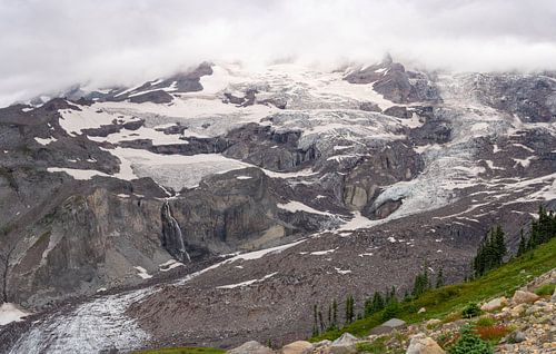 Gletjsers in Paradise, Mount Rainier National Park, Washington, USA