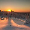 Sonnenaufgang in Lappland von Menno Schaefer