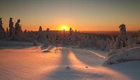 Zonsopkomst in lapland van Menno Schaefer thumbnail