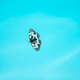 Schmetterlingsschlag von Annelies Martinot