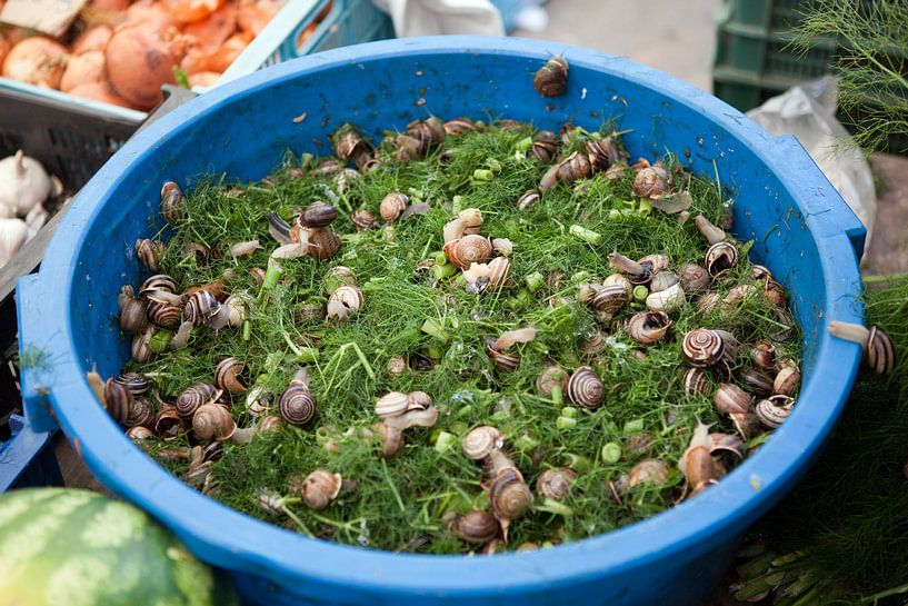 Escargots sur un marché à Majorque par t.ART