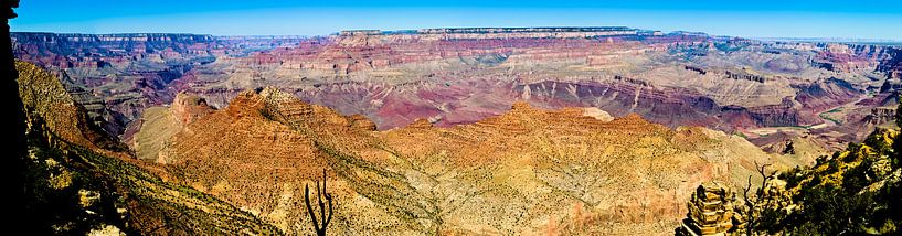 Panorama grand Canyon USA par Lieke Doorenbosch