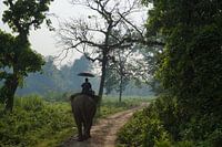 Man on elephant