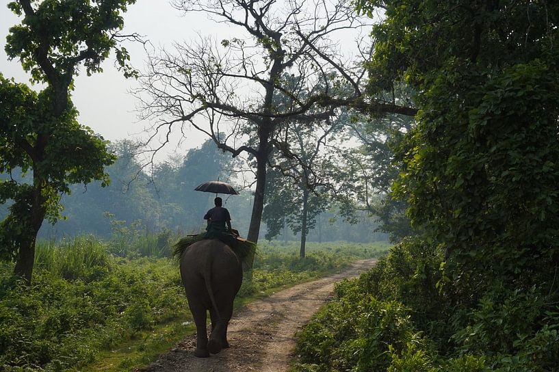 Man on elephant von Marloes Bierkens