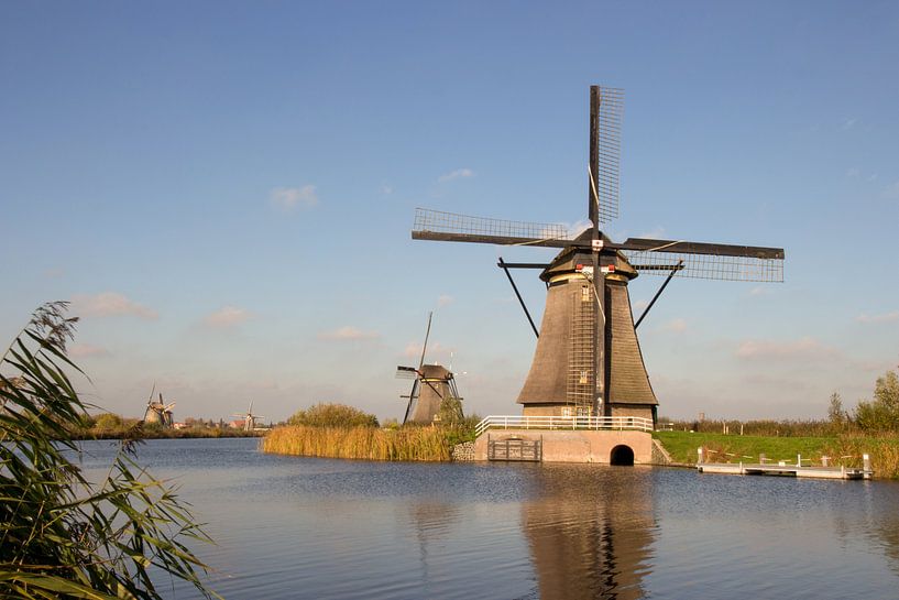 Windmühlen in Kinderdijk von Robin Jongerden