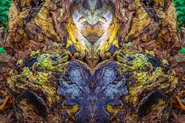 Der Engel van Jürgen Döring