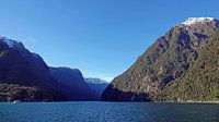 Milford Sound vanaf de Tasmanzee  in Nieuw Zeeland van Aagje de Jong thumbnail