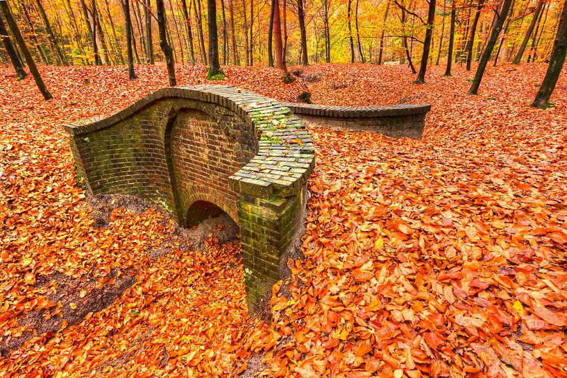 Herfst op Landgoed Groenouwe van Rob Kints