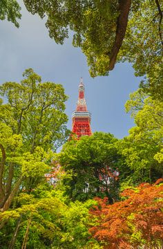 Tour de Tokyo - Japon sur Marcel Kerdijk