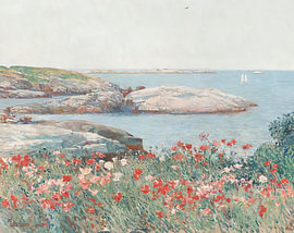 Poppies Along the Coast by Vickie Cramer