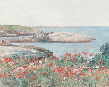 Poppies Along the Coast