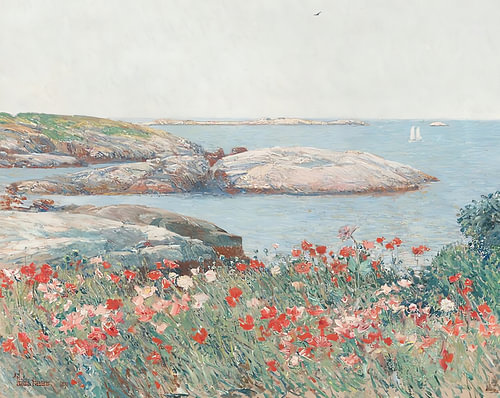 Poppies Along the Coast
