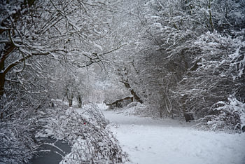 Verträumte Winterlandschaft mit Bachlauf