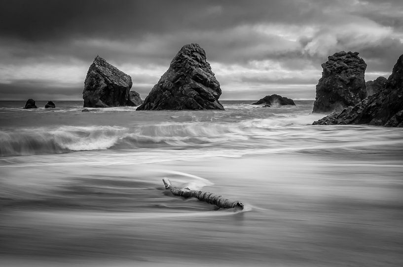 Driftwood by Peter Bijsterveld