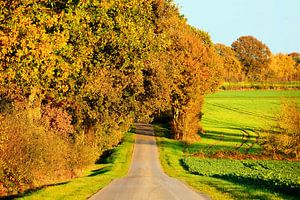 Strahlender Herbst