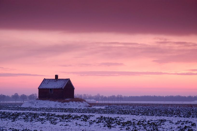 Paysage de polders au lever du soleil par Frank Peters